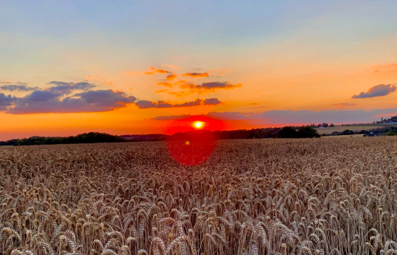 AXA Hauptvertretung Sebastian Wetzel aus Bad Saulgau
